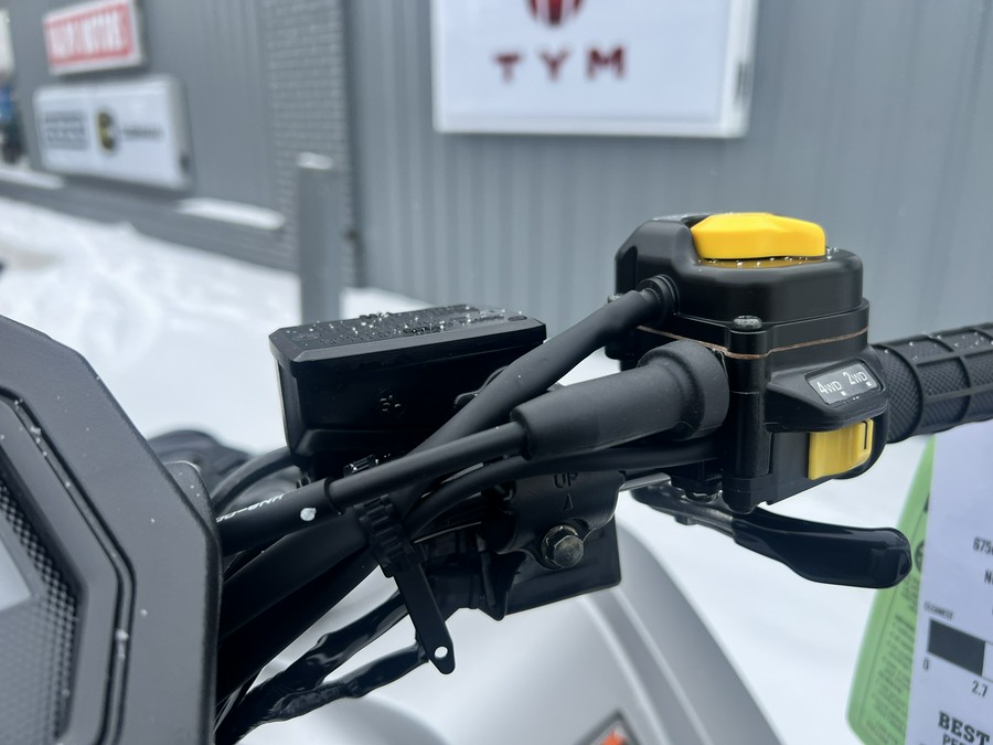 2026 Honda FourTrax Rubicon 700 4x4 Automatic