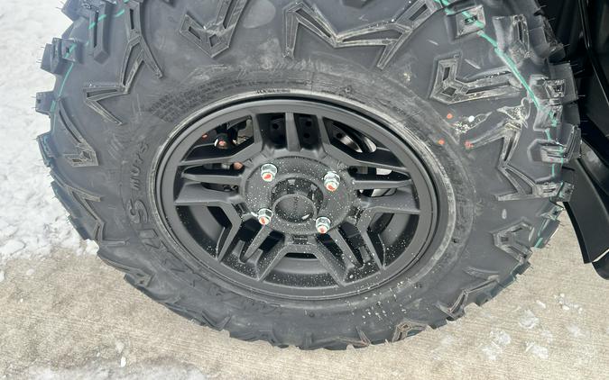 2026 Honda FourTrax Rubicon 700 4x4 Automatic