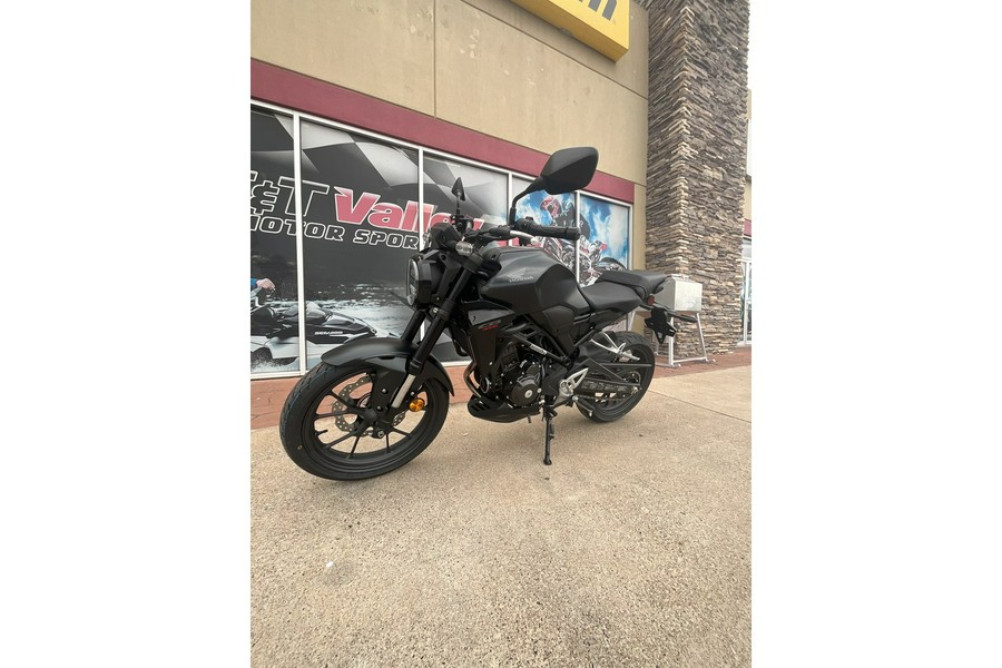 2024 Honda CB300R ABS