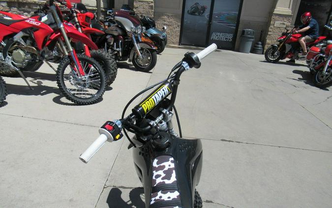 2025 Kawasaki KLX®110R L