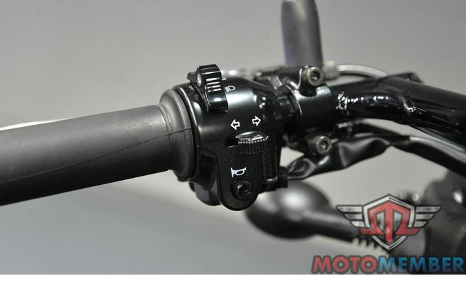 2020 Kawasaki W800 CAFE