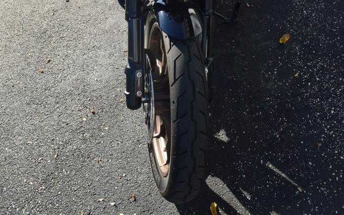 FXLRS 2021 Low Rider® S