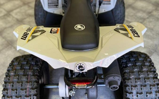 2024 Can-Am® Renegade 110 EFI