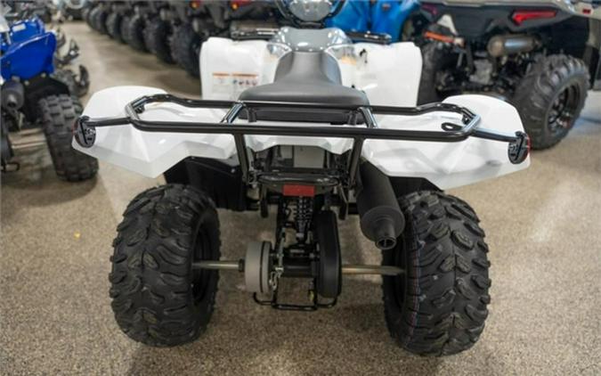 2024 Yamaha Grizzly 90