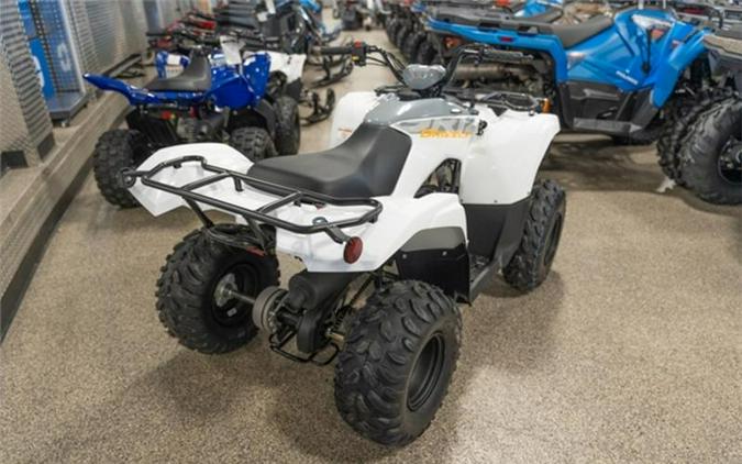 2024 Yamaha Grizzly 90