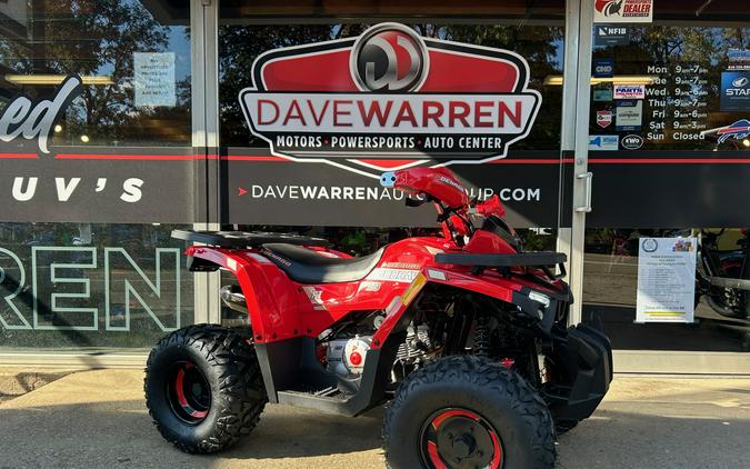 2026 DENAGO MUDHAWK 10FI 120cc - D10536