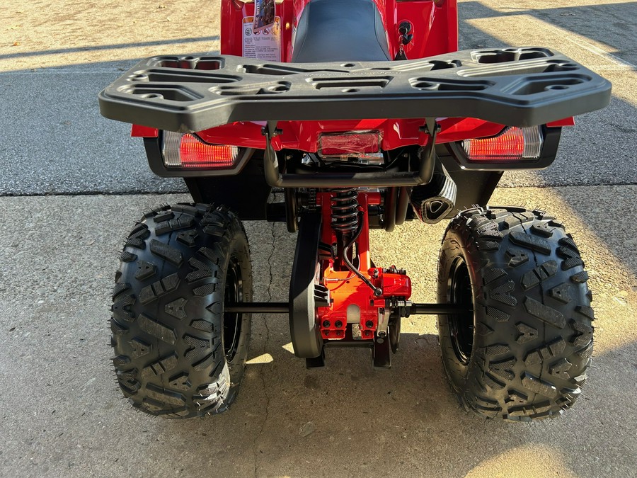 2026 DENAGO MUDHAWK 10FI 120cc - D10536