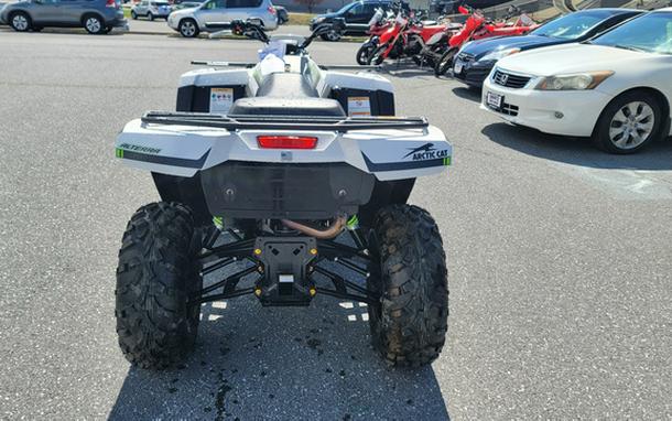 2023 Arctic Cat Alterra 600 XT