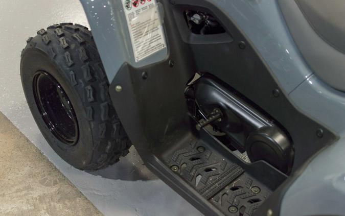 2025 Kawasaki KFX 90