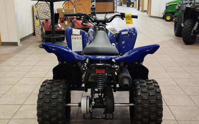 2023 Yamaha Raptor 90