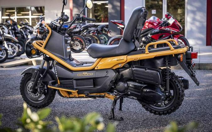 2005 Honda® BIG RUCKUS NPS250