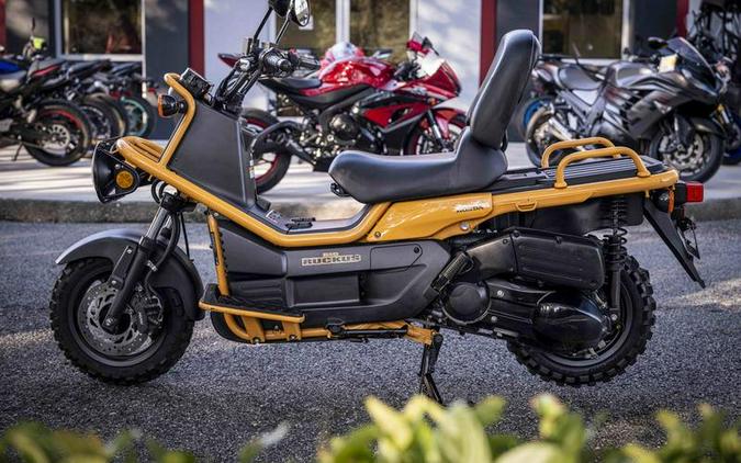 2005 Honda® BIG RUCKUS NPS250