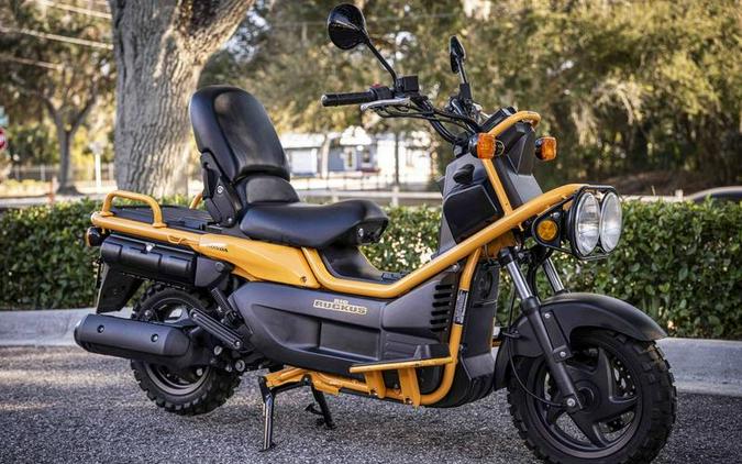 2005 Honda® BIG RUCKUS NPS250