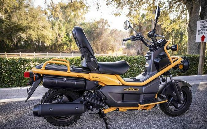 2005 Honda® BIG RUCKUS NPS250