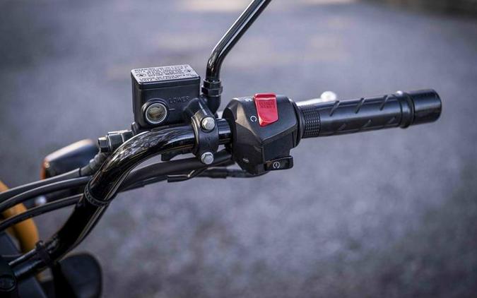 2005 Honda® BIG RUCKUS NPS250