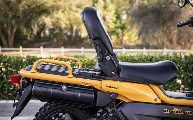 2005 Honda® BIG RUCKUS NPS250