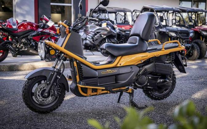 2005 Honda® BIG RUCKUS NPS250