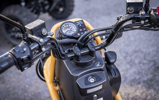 2005 Honda® BIG RUCKUS NPS250