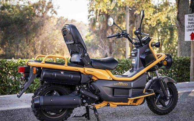 2005 Honda® BIG RUCKUS NPS250