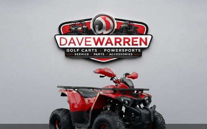2026 DENAGO MUDHAWK 10FI 120cc - D10525