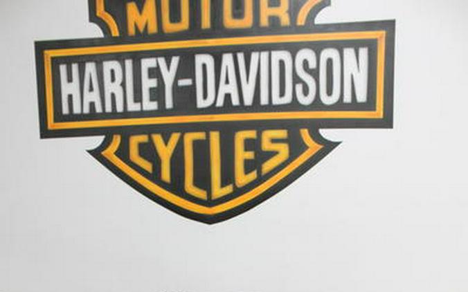 2024 Harley-Davidson® FLHXSE - CVO™ Street Glide®