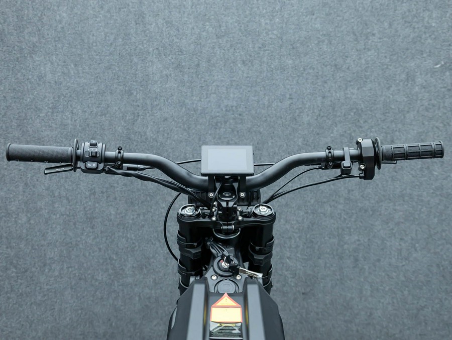 2025 E RIDE PRO S 17"