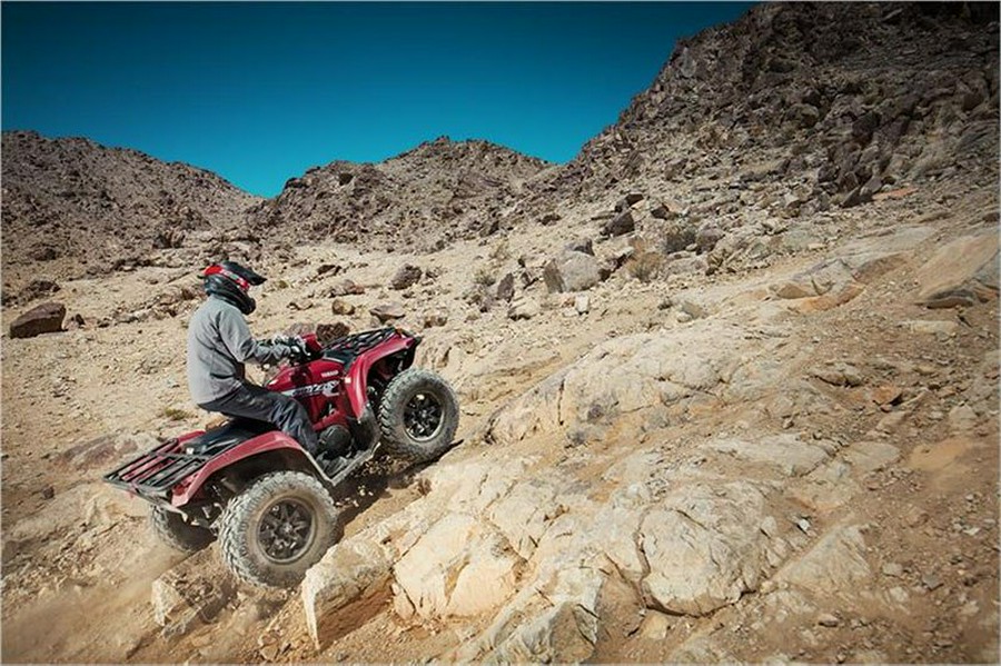 2019 Yamaha Grizzly EPS