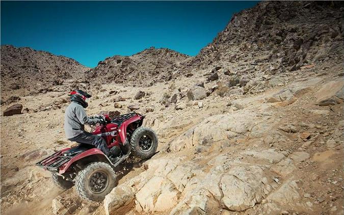 2019 Yamaha Grizzly EPS