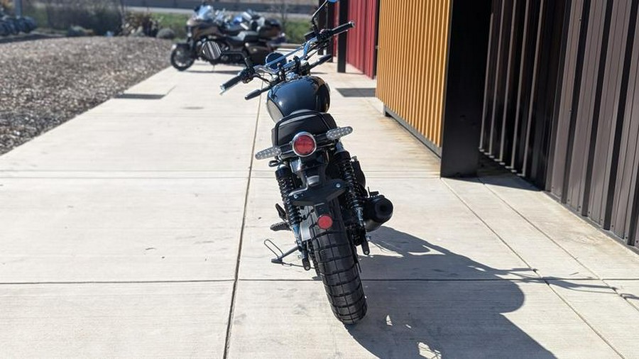 2025 Royal Enfield Bear 650 Golden Shadow