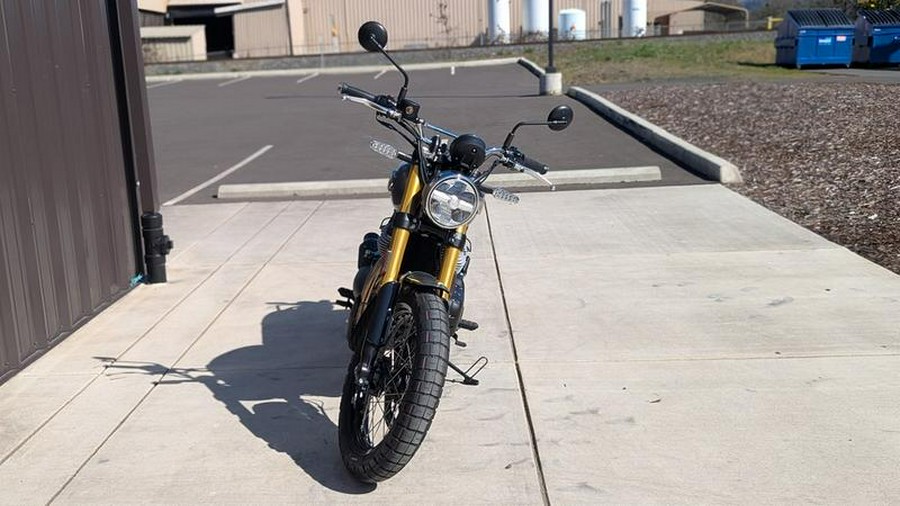 2025 Royal Enfield Bear 650 Golden Shadow