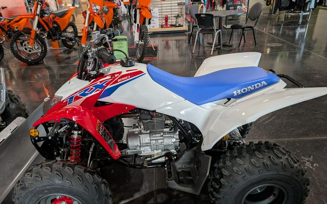 2026 Honda TRX250X