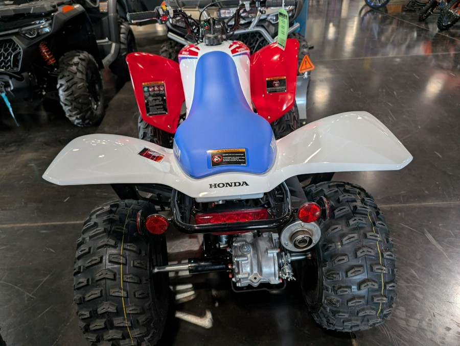 2026 Honda TRX250X