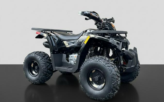 2026 DENAGO MUDHAWK 10FI 120cc - D10532
