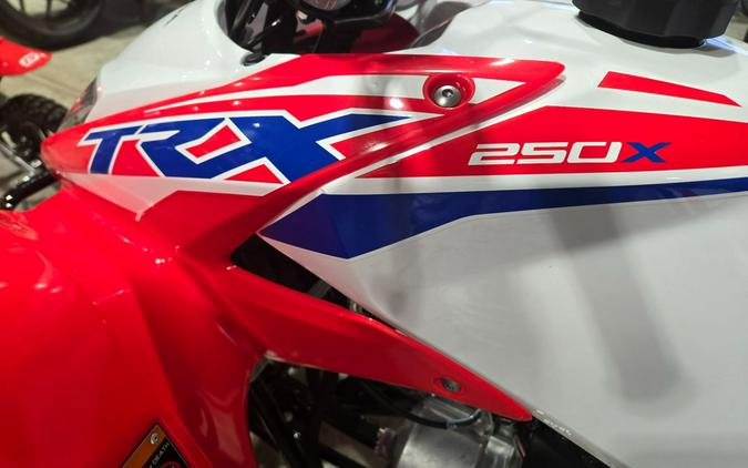 2026 Honda TRX250X