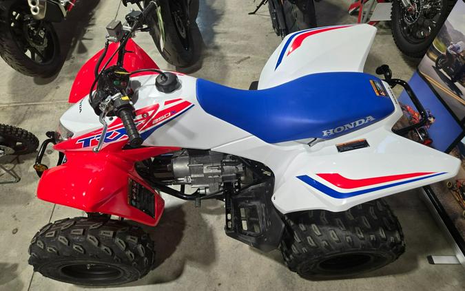 2026 Honda TRX250X