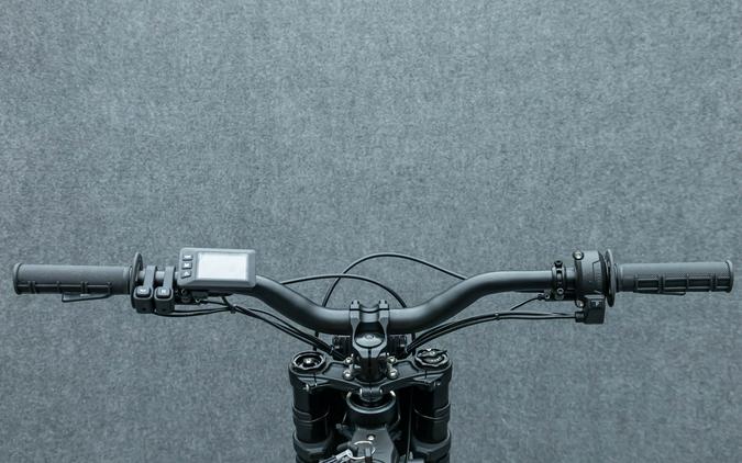 2025 E RIDE PRO MINI