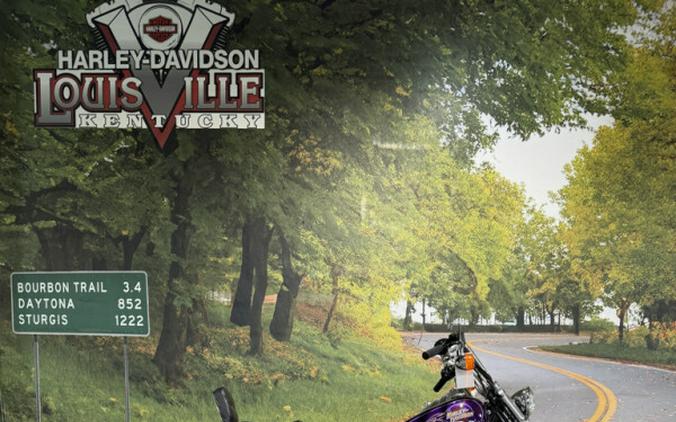 2001 Harley-Davidson Wide Glide