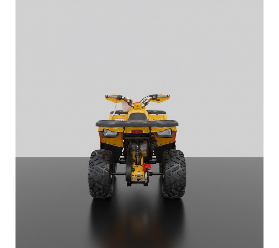 2026 DENAGO MUDHAWK 10FI 120cc - D10519