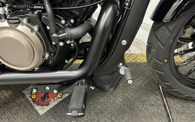 2025 Benda Chinchilla 300