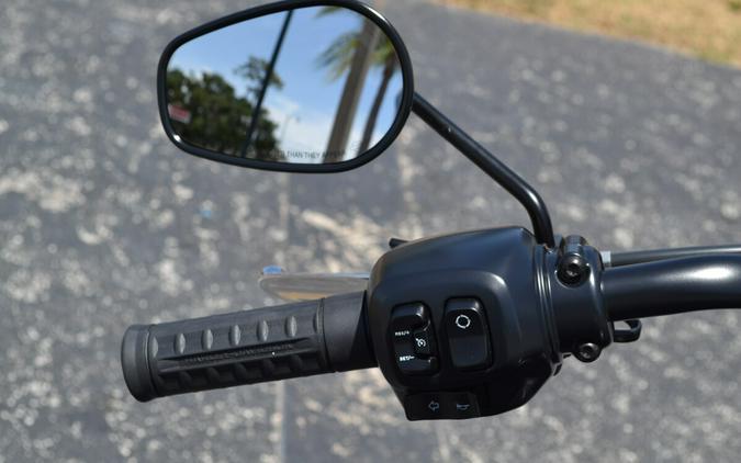 FXLRS 2025 Low Rider™ S