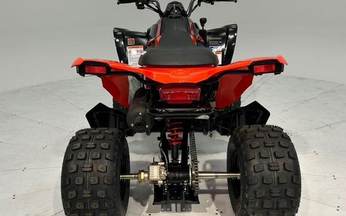 2024 Can-Am DS 250