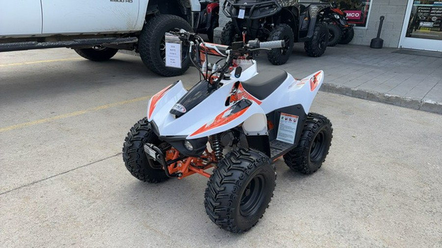 2026 Kayo Fox / Storm 70