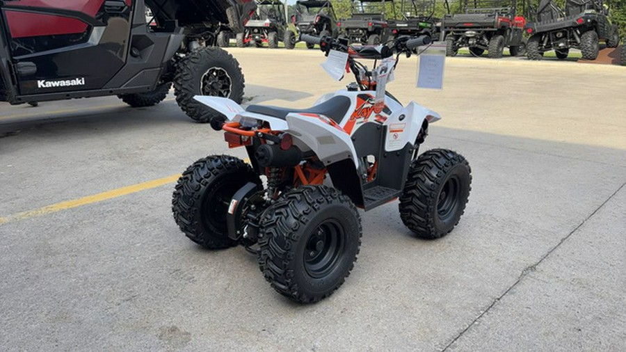 2026 Kayo Fox / Storm 70