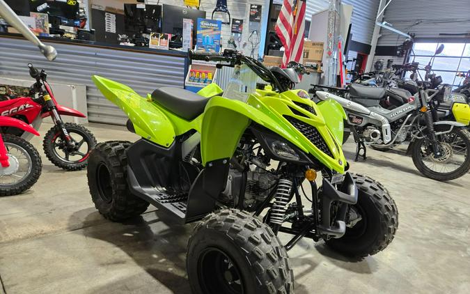2026 Yamaha Raptor 110