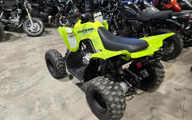 2026 Yamaha Raptor 110