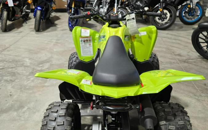 2026 Yamaha Raptor 110