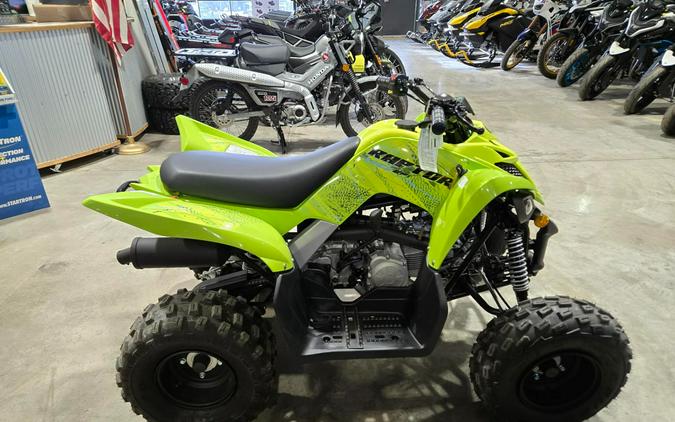 2026 Yamaha Raptor 110