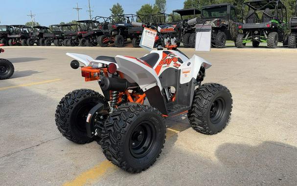 2026 Kayo Fox / Storm 70