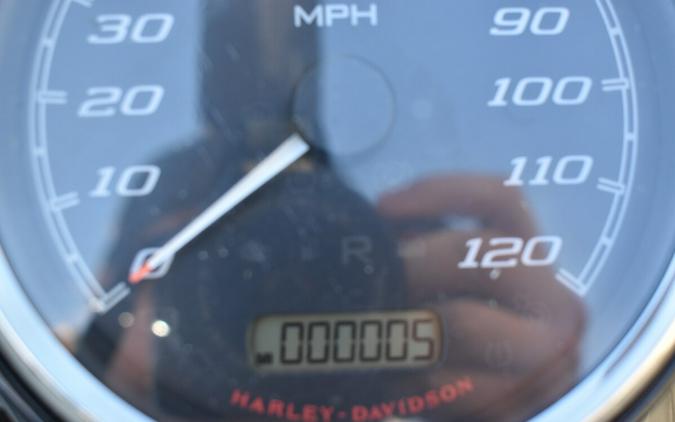 2024 Harley-Davidson Freewheeler