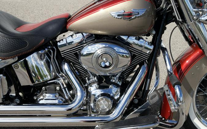 2009 Harley-Davidson Softail FLSTN Deluxe